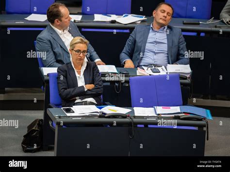 alice green hd|Alice Weidel Afd Co Chairwoman And Bundestag Faction Leader.